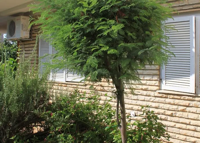 Apartamento With A Parking Space - 7124