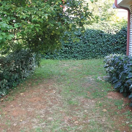 Apartment With A Parking Space - 7124